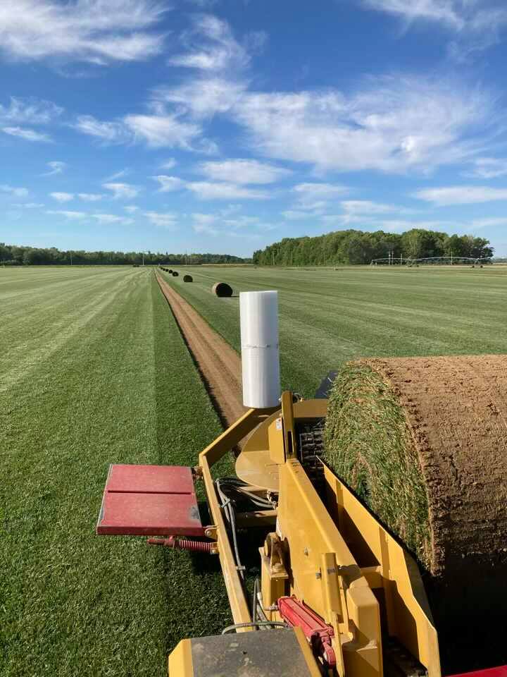 to GrassMasters Sod Farm! Grassmasters Sod Farms
