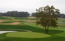 Olde Stone Golf Course Sod Installation - Bowling Green, KY; Kentucky Bluegrass