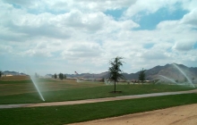 Arizona Golf Course; Sprigging